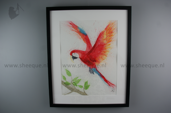 aquarel schilderij macaw 